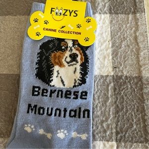 Foozy’s Socks With Adorable Bernese Mountain Dog